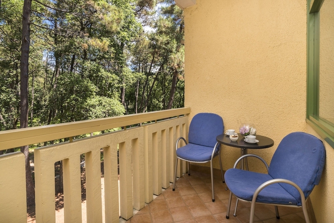 Imagen de la habitación del Hotel Aurora Plava Laguna. Foto 7