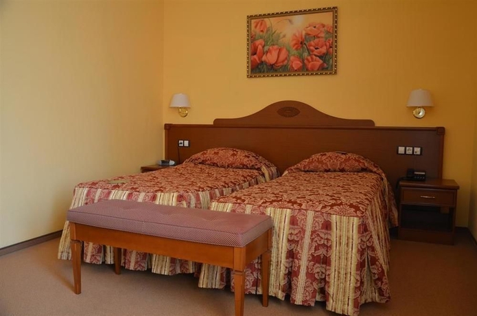 Imagen de la habitación del Hotel Aurora Premier. Foto 12