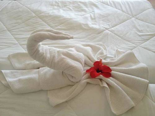 Imagen de la habitación del Hotel Aurora, Tremensuoli. Foto 4