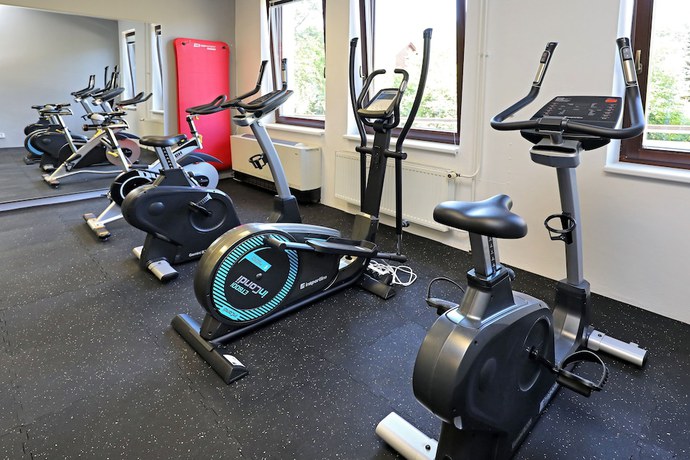 Imagen de los interiores del Hotel Aurum Čern&yacute; Důl. Foto 17