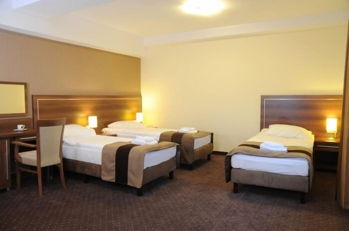 Imagen de la habitación del Hotel Austeria Conference and Spa. Foto 10