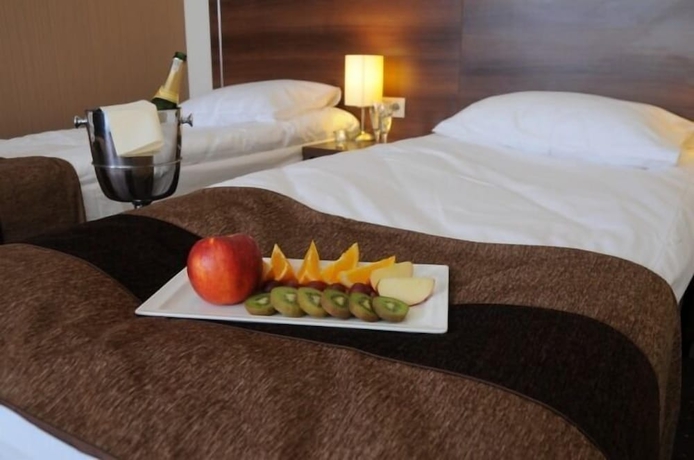 Imagen de la habitación del Hotel Austeria Conference and Spa. Foto 13