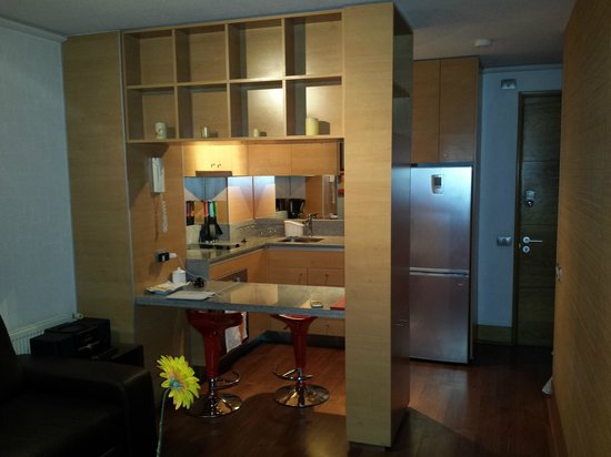 Imagen de la habitación del Hotel Austral Suites Apartment Providencia. Foto 5
