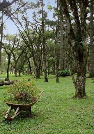 Imagen de los exteriores del Hotel Austria, Monte Verde. Foto 11