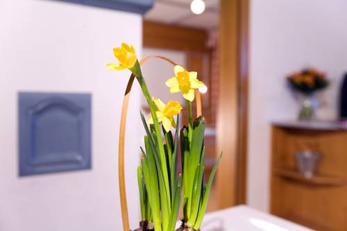 Imagen de la habitación del Hotel Auszeit. Foto 7