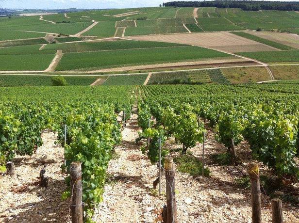Imagen de los exteriores del Hotel Aux Lys de Chablis. Foto 7
