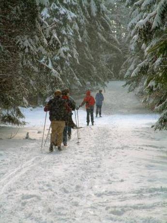 Imagen de la habitación del Hotel Aux Massotais. Foto 3