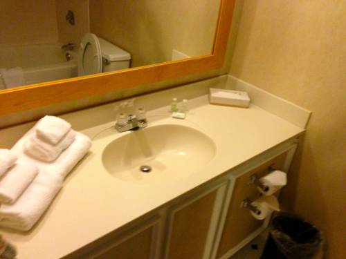 Imagen de la habitación del Hotel Avalon and Conference Center. Foto 14