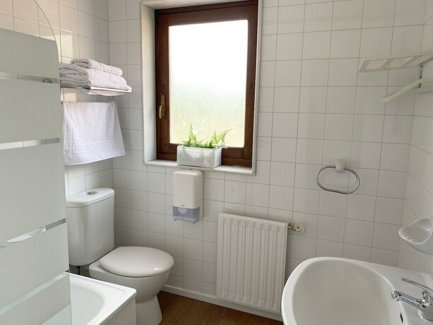 Imagen general del Hotel Avelina, Cangas de Onis. Foto 12