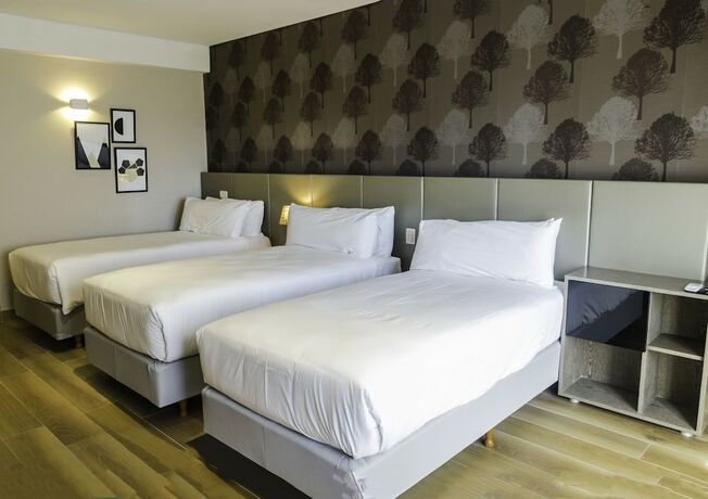 Imagen de la habitación del Hotel Avellaneda Aparts and Suites. Foto 14