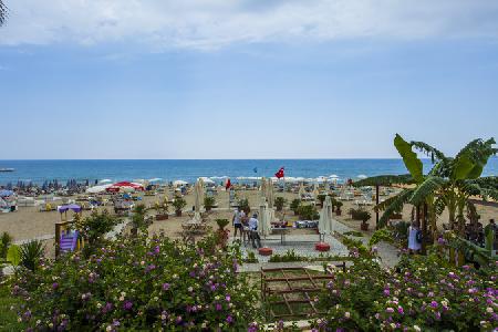 Imagen de los exteriores del Hotel Avena Resort and Spa. Foto 9