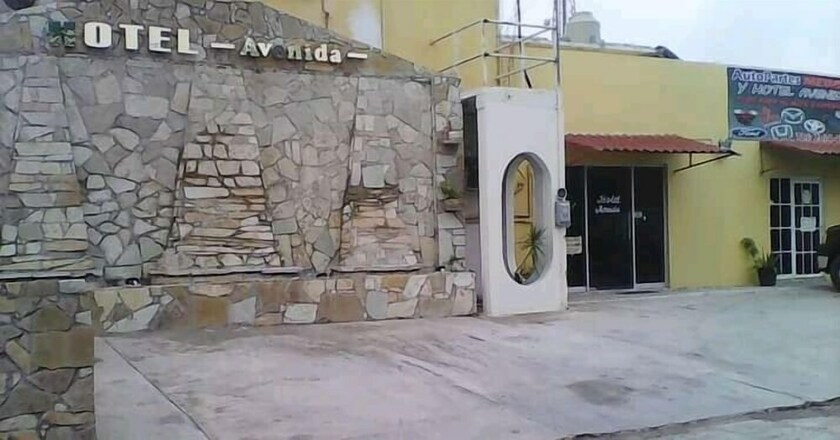 Imagen general del Hotel Avenida D Martin. Foto 5