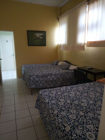 Imagen de la habitación del Hotel Avenida D Martin. Foto 10