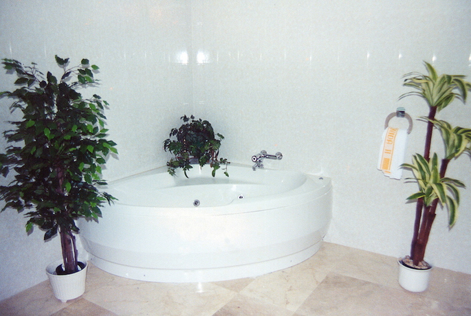 Imagen general del Hotel Avenida Iii. Foto 5