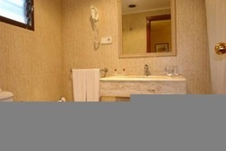 Imagen general del Hotel Avenida Plaza. Foto 4