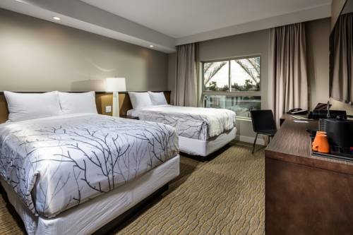 Imagen de la habitación del Hotel Aventura. Foto 2