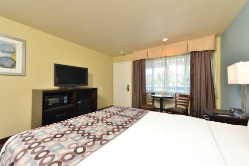 Imagen de la habitación del Hotel Avenue Inn Downtown San Luis Obispo. Foto 4
