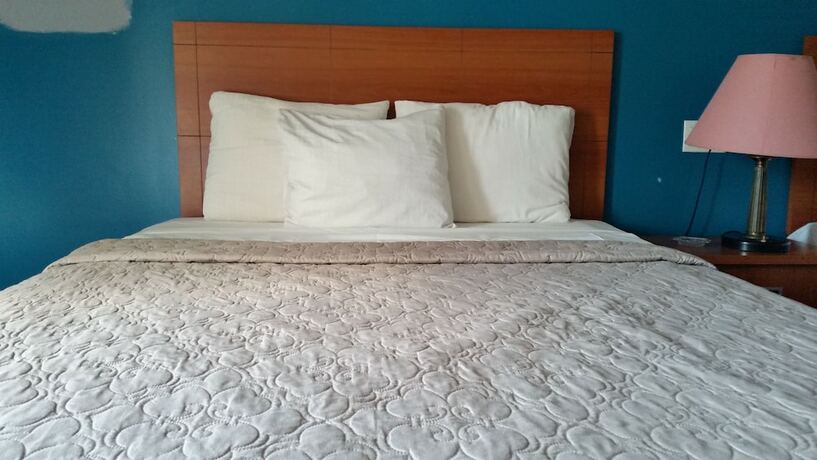 Imagen de la habitación del Hotel Avenue Motel, Mississauga. Foto 13