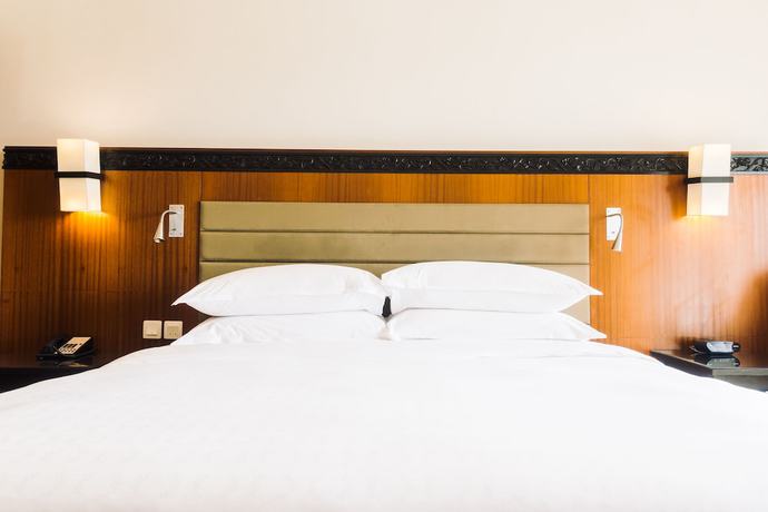 Imagen de la habitación del Hotel Avexia Premiere Agra. Foto 7