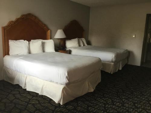 Imagen de la habitación del Hotel Aviation Inn. Foto 2