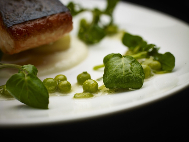 Imagen del bar/restaurante del Hotel Aviator Farnborough. Foto 5