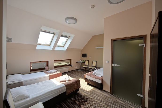 Imagen de la habitación del Hotel Aviator Wellness and Spa. Foto 3