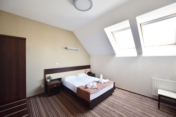 Imagen de la habitación del Hotel Aviator Wellness and Spa. Foto 15