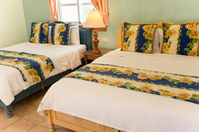 Imagen general del Hotel Avignon BandB. Foto 16