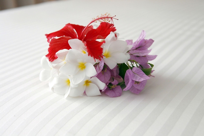 Imagen de la habitación del Hotel Avila Beach. Foto 5