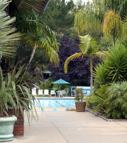 Imagen de la piscina del Hotel Avila Village Inn. Foto 17