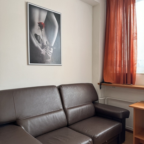 Imagen de la habitación del Hotel Avion, Bratislava. Foto 9