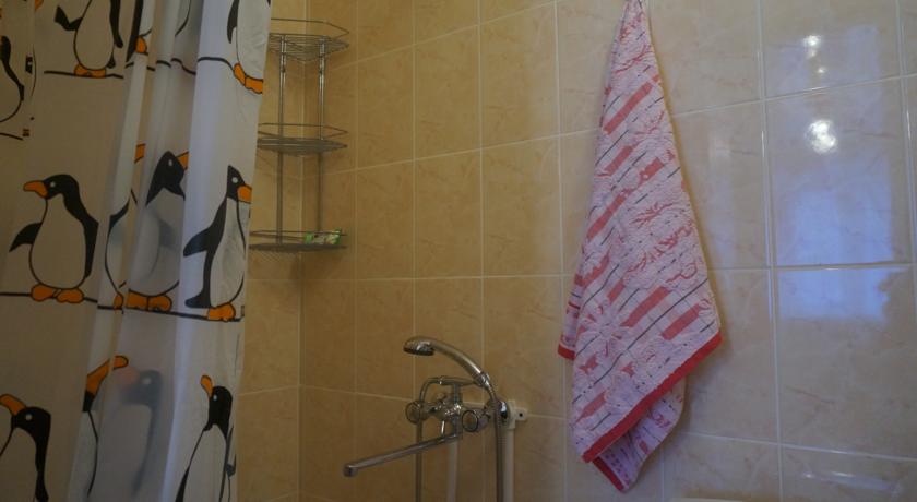 Imagen de la habitación del Hotel Avion, Kemerovo. Foto 3