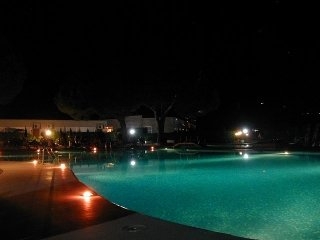 Imagen de la piscina del Hotel Aviotel Residence. Foto 7