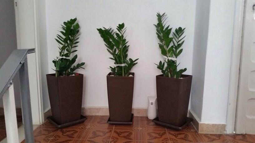 Imagen de los interiores del Hotel Avra Rooms. Foto 16