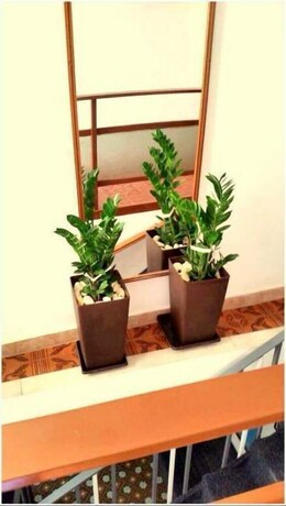 Imagen de los interiores del Hotel Avra Rooms. Foto 19