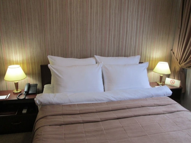 Imagen de la habitación del Hotel Avtozavodskaya. Foto 7
