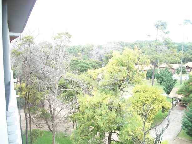 Imagen general del Hotel Avutarda De Carilo. Foto 11