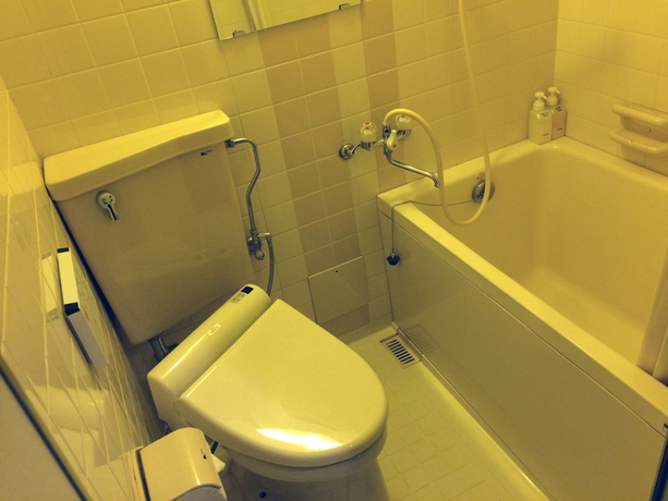 Imagen de la habitación del Hotel Awaji International The Sunplaza. Foto 13