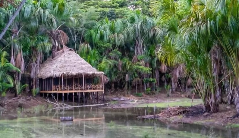 Imagen general del Hotel Awaken Yoga Eco Resort in Amazon jungle. Foto 5