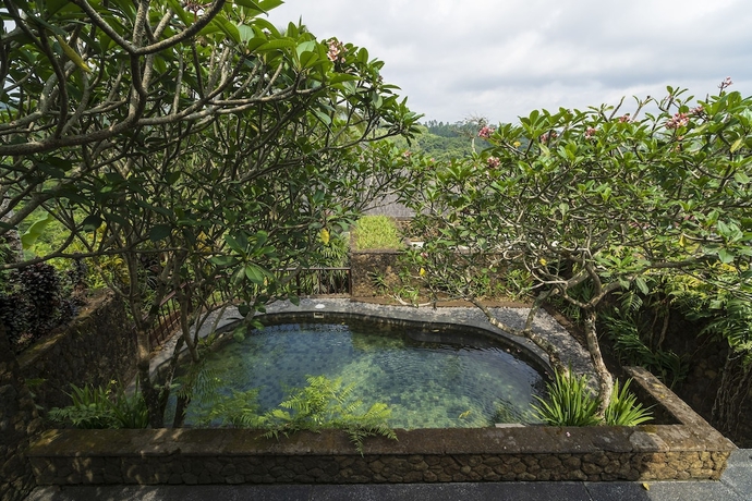 Imagen de la habitación del Hotel Awan Biru Villas. Foto 5