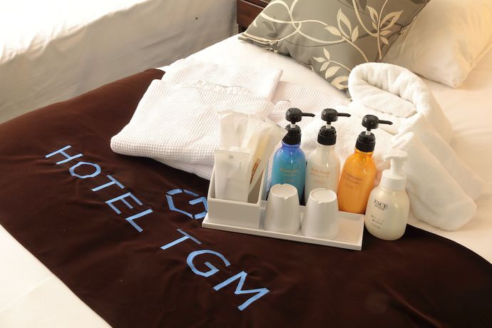 Imagen de la habitación del Hotel Axia Inn Osaka Uehonmachi. Foto 5