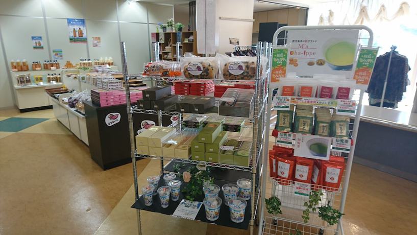 Imagen de los interiores del Hotel Axia Kushikino. Foto 20