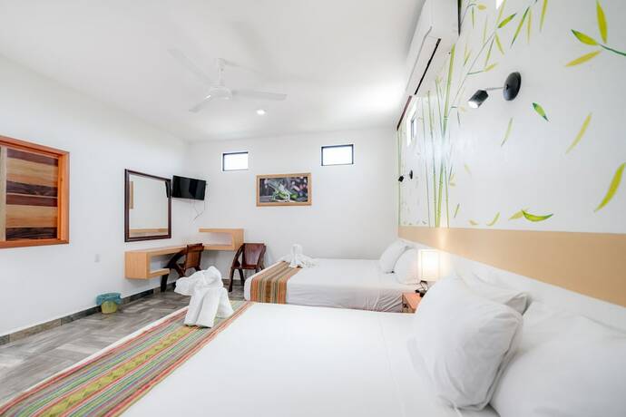 Imagen de la habitación del Hotel Axolotl. Foto 17