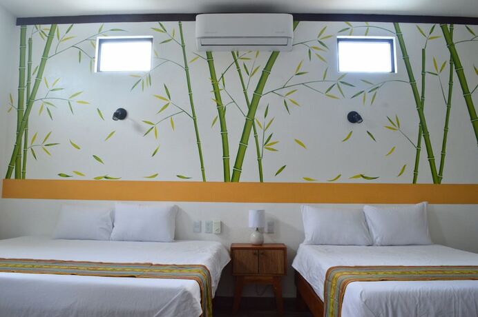 Imagen general del Hotel Axolotl. Foto 3