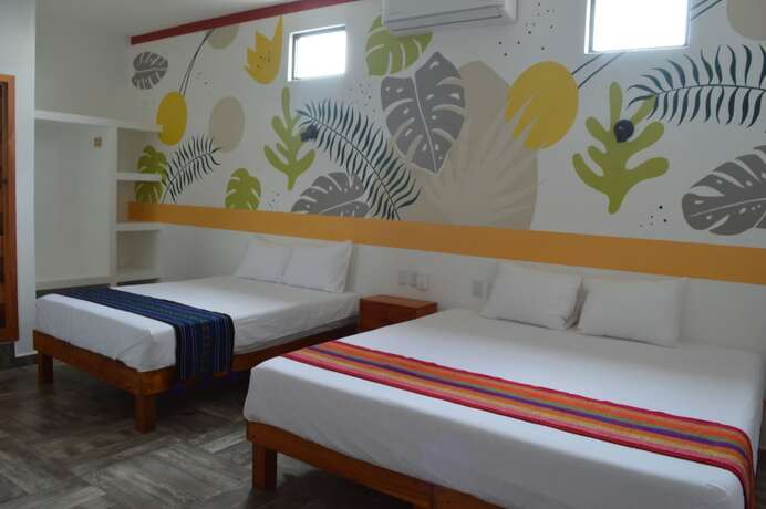 Imagen general del Hotel Axolotl. Foto 9