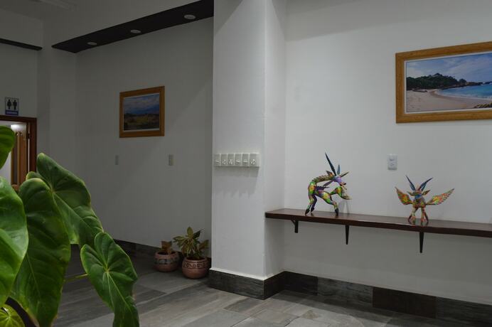 Imagen general del Hotel Axolotl. Foto 10