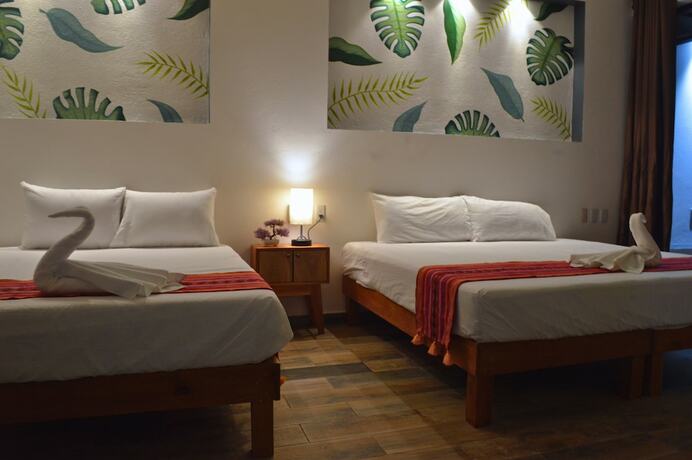 Imagen general del Hotel Axolotl. Foto 11