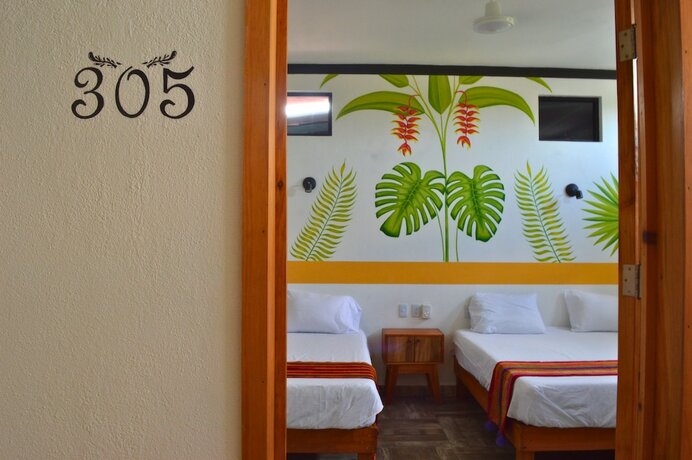 Imagen general del Hotel Axolotl. Foto 12