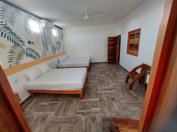 Imagen general del Hotel Axolotl. Foto 13