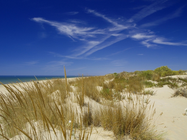 Imagen de los exteriores del Hotel Ayamontino. Foto 14